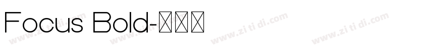 Focus Bold字体转换